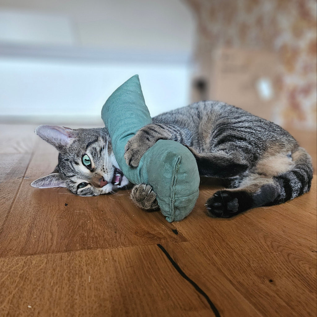 Der Wilde // Robustes, großes Kickerspielzeug für Katzen