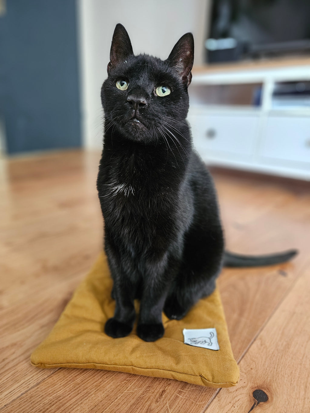 Die Kernzone // Multifunktionale Katzenmatte mit herausnehmbarem Kräuterinlay