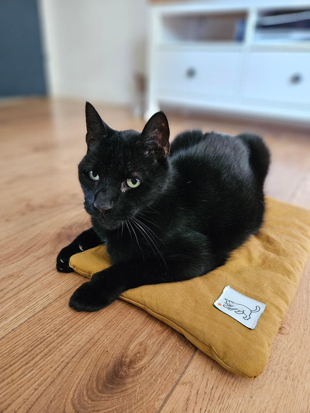Die Kernzone // Multifunktionale Katzenmatte mit herausnehmbarem Kräuterinlay