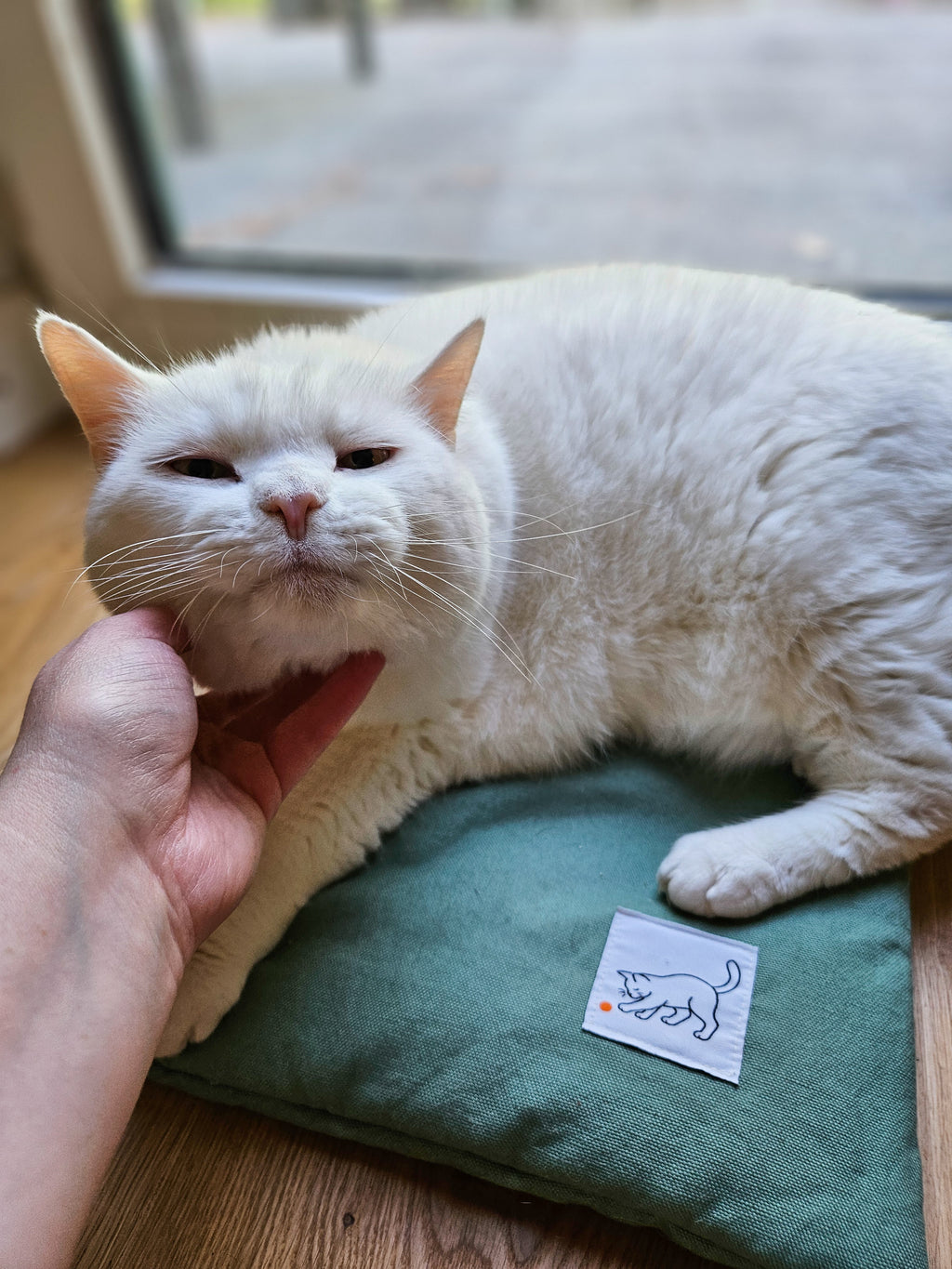 Die Kernzone // Multifunktionale Katzenmatte mit herausnehmbarem Kräuterinlay