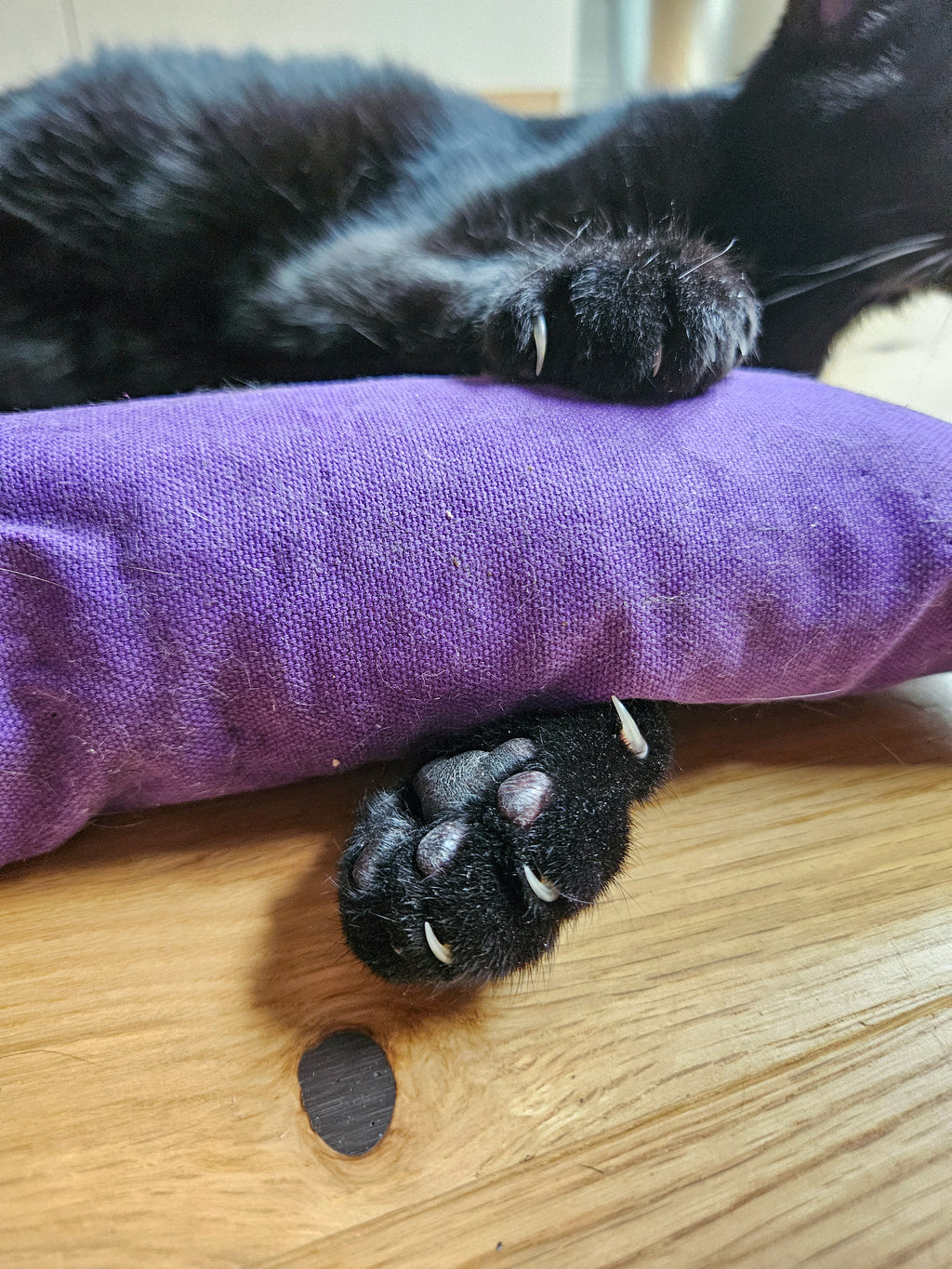 Der Wilde // Robustes, großes Kickerspielzeug für Katzen