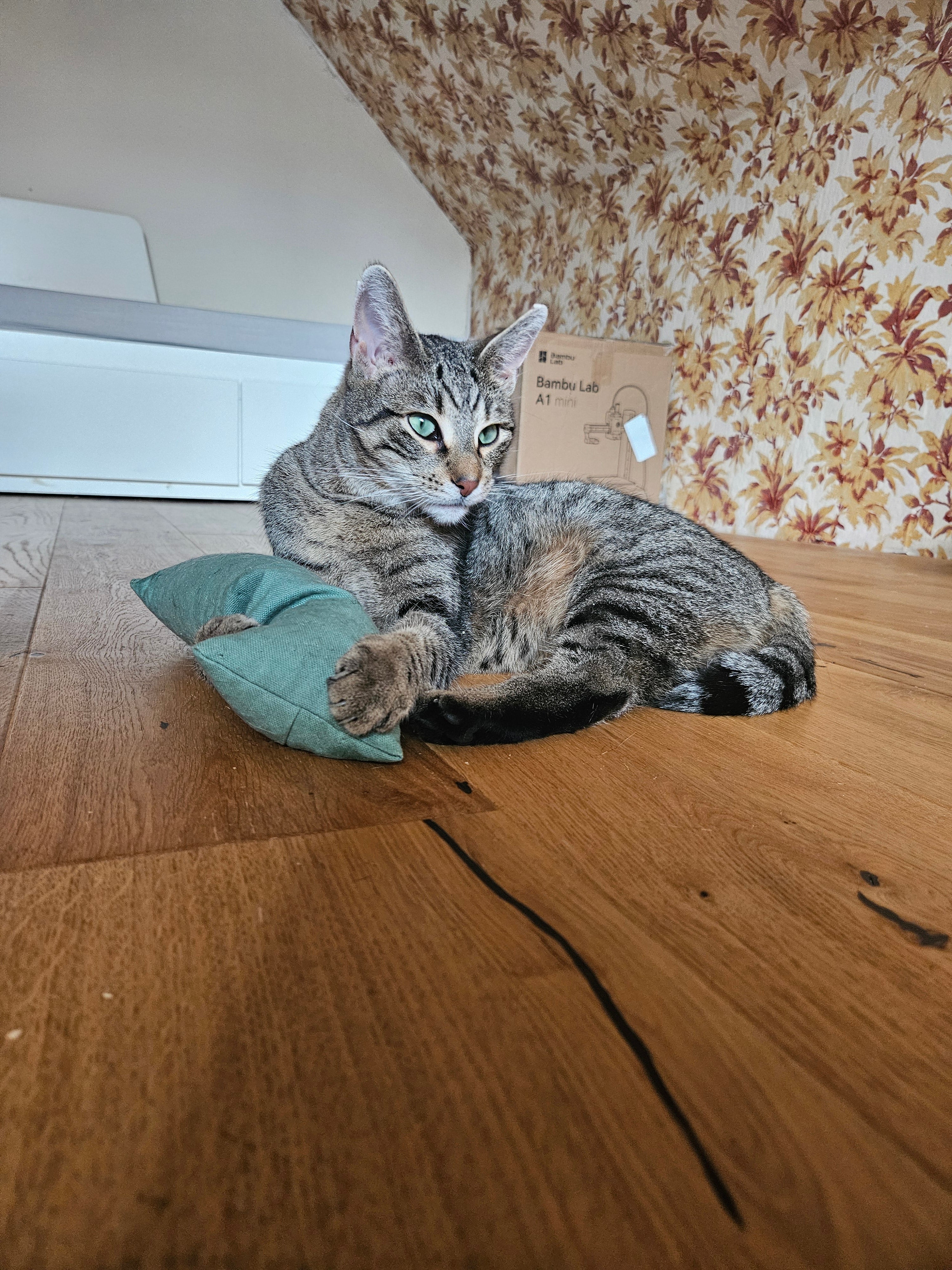 Der Wilde // Robustes, großes Kickerspielzeug für Katzen