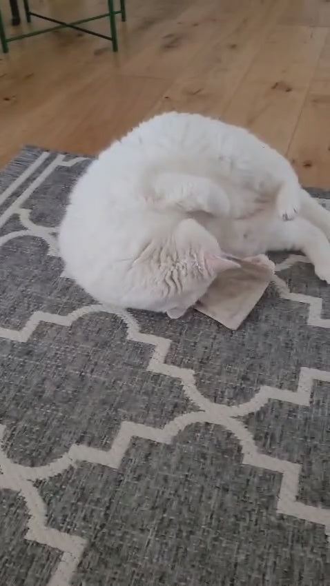 Kräuterkern // Duftimpuls für Katzen // Einzeln oder als Inlay in "Kernzone" verwendbar